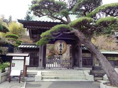 ランチ後は鶴岡八幡宮へ向かい
途中長谷寺に寄りました