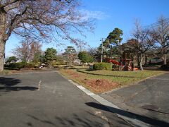 護国神社がこの地に移転した１９３４年でその当時には千歳公園という公園があったそうですが、現在は薬師公園と呼ばれています。現在の薬師公園の由来は下の写真で紹介しますが、千歳公園は初代山形県令三島通庸が整備を命じた都市公園だったそうです。三島は土木県令と呼ばれ山形県と後に赴任する栃木県のあちこちで土木事業、特に道路事業を行っていますが、千歳公園もその一環だったんですかね。
現在の薬師公園は静かな公園で、土曜日の朝でしたが子連れ家族が一組遊んでいるだけでした。まあ氷点下だったというのもあるでしょうけど・・・。