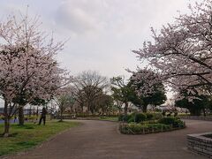 野毛山公園。