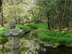 夜はホタルも
たくさん飛んでるんだって(^^)
