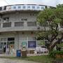 3月31日～4月2日まで奄美大島の世界自然遺産の旅の3日目。					