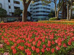 ホテルへの帰り道に、横浜公園にちょこっと寄り道。