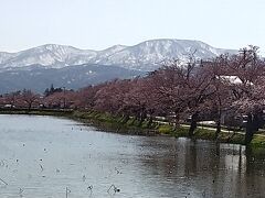 1:30実家着。
早速桜の様子を見に行きます。
開花が昨日7日でした。ありゃりゃ(^_^;)
