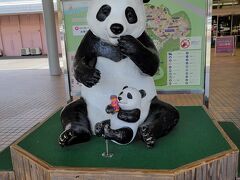 ようやくアドベンチャーワールドに到着です。

さっそく、パンダに会いに行きます。