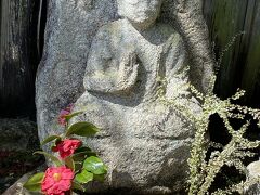 椿のお寺　霊鑑寺にやってきました。