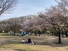 金シャチ通りの入口に戻ってきて、さぁ次は「名城公園」へ。

でも場所がいまいちわからずグーグルマップで調べると、名古屋城のすぐ近くだったみたいで来た道を戻る私（もうこの時点で歩きすぎて足が痛い（笑））

名城公園も桜がすごくきれいで、たくさんの方がお花見を楽しんでいました。さすが桜の名所なだけありますねぇ。

女子大生の皆様と先生だったのでしょうか？ものすごく盛り上がってて、仲間に入れてほしかったです（笑）←こら

私もお酒を買ってひとりお花見すれば良かったなぁ。桜を撮影しながらグルっと回ってそろそろゲストハウスへ。
