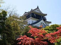 案の定岡崎城の桜は完全に終わっていましたね。
3月29日満開、4月6日散りはじめじゃあ4/10はもうダメですね。
こんな所、寄らなくても良かったんですが天守入場料が費用に含まれていたので変更できないのでしょう。

さてここから京都に向けて3時間のドライブです。