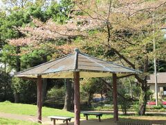 大崎公園

花壇、こども釣り池、広場、こどもどうぶつえんなどがあります。
四阿の後ろの大きな桜の木も葉桜になりつつありました。
