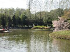 さぎ山記念公園

まだ桜の花が残っているのは、シダレザクラかな。
池にはたくさんの太公望が来ていました。ヘラブナ釣りの仕掛けのようで、頻繁に釣れているようでした。