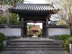 龍福寺へ
垂れ桜がきれい