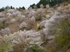 吉野山