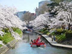 うぉぉぉぉぉ～！
これぞまさしく春模様。
松川を行き交う遊覧船に揺られて、サクラのアーチをくぐる人々の姿。