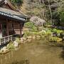 京都・奈良旅行2022’春旅　4日目