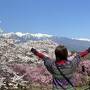 桜と雪のアルプス　安曇野　麻績村の春爛漫の旅( 長峰荘　)