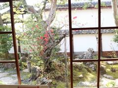 タクシーで松江市内に移動して小泉八雲の旧居。座って３方の庭が見える。美しい庭！