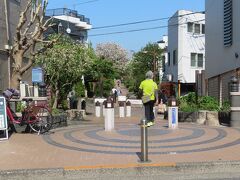 茶沢通りを通り抜ける烏山川緑道　