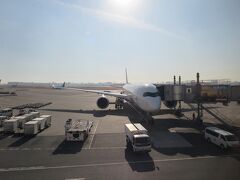 まずは飛行機で移動します。
最近の大阪便はB787率が高いですが今回はA350です。