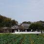 神社とグルメの旅　①大分編