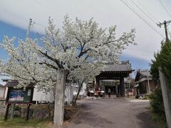 10.宿縁寺 (西尾市西浅井町) 撮影日4/1