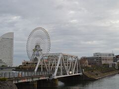 諦めて汽車道をトコトコ