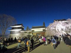 上田城東虎口櫓門では立派な枝垂桜が出迎えてくれます