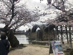 平和記念公園から車で４５分くらい。
山口県の「錦帯橋」へ。
本咲きじゃなかったけど、桜が咲いてて綺麗でした。
