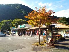 河津方面からループ橋を経由し河津七滝を過ぎ、湯ヶ島方面へ。
途中、道の駅　天城越えに立ち寄り。名前の通り天城山中にある自然に囲まれたスポットで、敷地内には昭和の森会館、『竹の子かあさんの店』『天城わさびの里』などの売店、レストランなどもあり、ドライブ途中の立ち寄りスポットにもお薦めです。