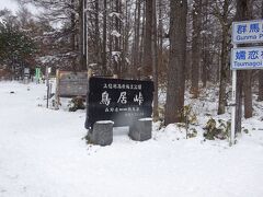 このあと鳥居峠。ヤマトタケルの東征では、第三の碓氷峠といわれております。
ヤマトタケルとくれば、私たちのブログの古いお客さんなら、「あれか」と思うでしょう。「あれ」なのです。
「ヤマトタケル空白の旅路」というのが今回の旅のメインテーマ。なんかカッコいい題名です。題名だけでもうできちゃった感じ、でもまだ1行も書いていません。
番宣です。
