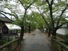 筑前の小京都秋月に移動し、秋月城跡周辺を散策