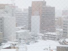 昨日は雪なんてなかったのに、一晩でこの雪景色
しかもどんどん降ってます

が、2泊３日の旅行日程、出かけましょう