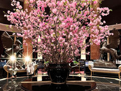 ホテルに戻って来ました。

ロビーの装花は八重桜かな？

荷物が重くてあまりじっくり見られませんでしたが、春らしくてとってもステキでした☆ﾟ+.