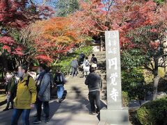 円覚寺に到着、紅葉が綺麗です。