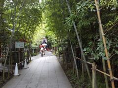 次に熱海の来宮神社へ