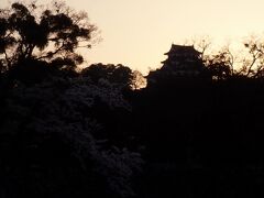 彦根城

日の出時間で綺麗ですね