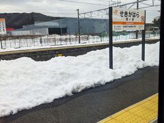 JR関ヶ原駅
関ケ原近くなると、雪が沢山残っていました。ホームに残っているの雪の量が凄いです。