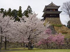 上田城跡には午後4時に到着しました。駐車場にバスが入りますが、その駐車場が桜だらけなので車窓の左右が桜の花で埋まった感じがします。ここでは1時間の自由散策の時間が与えられます。