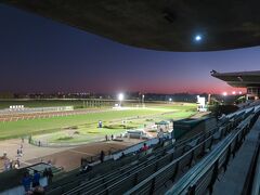 大きな公園内にある競馬場へ。パレルモにある競馬場が豪華なかんじで、中にあるレストランは美味しいぞと上司に勧められたことがあるので、こちらも大人の社交場的なかんじなのかと勝手に想像していましたが、馬券売り場とか客層とか、まんま競馬場でした。ちょっとがっかり。２レースほど見て帰ります。日を改めてパレルモの競馬場へも行こう。