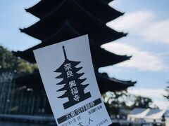 2022年の春からこの五重塔は約120年ぶりの大規模修理に入ります。
それに先立ち、「令和大修理前の御開帳」と称し、五重塔の内部を特別公開されているのです。

朝早くならさほど混んでいないだろうと踏んでやって来ました。

拝観料は1000円。

★興福寺
https://www.kohfukuji.com/