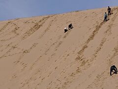 食後は鳥取砂丘へ。
この砂丘、登るのすごく大変でした。
足場が悪いうえに、登るとすごい傾斜でなかなか進まない。
頑張って家族全員登りました。