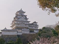 鳥取を後にして、次は兵庫県、最初は姫路城です。
閉門の時間があるらしく、急いで移動します。
近づいてきたら、すごい人混みで露店とかも出てて賑わってて、辺りを見渡したら、すぐそこに大きな姫路城が見えてビックリ。
そんなに大きいと思ってなかったので規模のでかさにびっくり！
桜も沢山咲いてて綺麗な城でした。