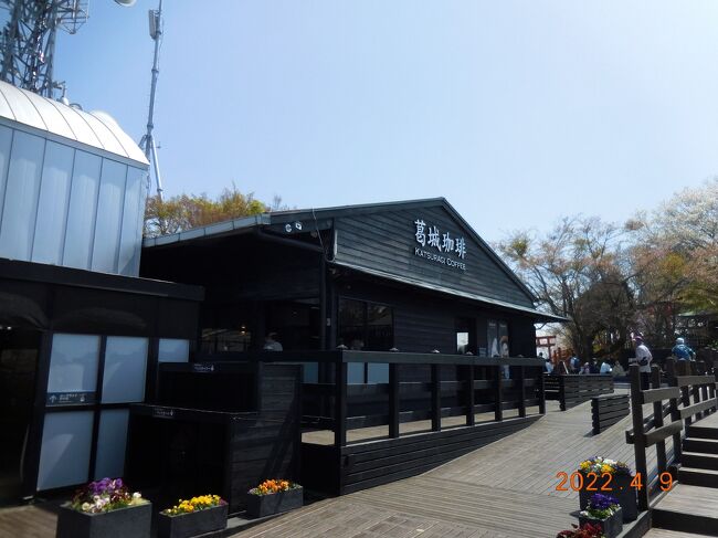 着きました。<br />上には足湯や何件か飲食できるお店あります。<br />碧テラスというだけあって碧が貴重なアクセント。<br />後で気が付けば嬉しすぎて、あまり碧の写真撮ってませんでした。HP見てください。