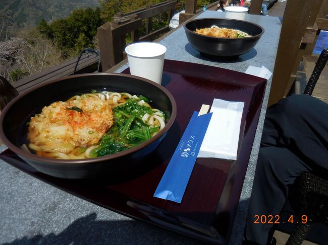 駿河湾を眺めながら昼食です。