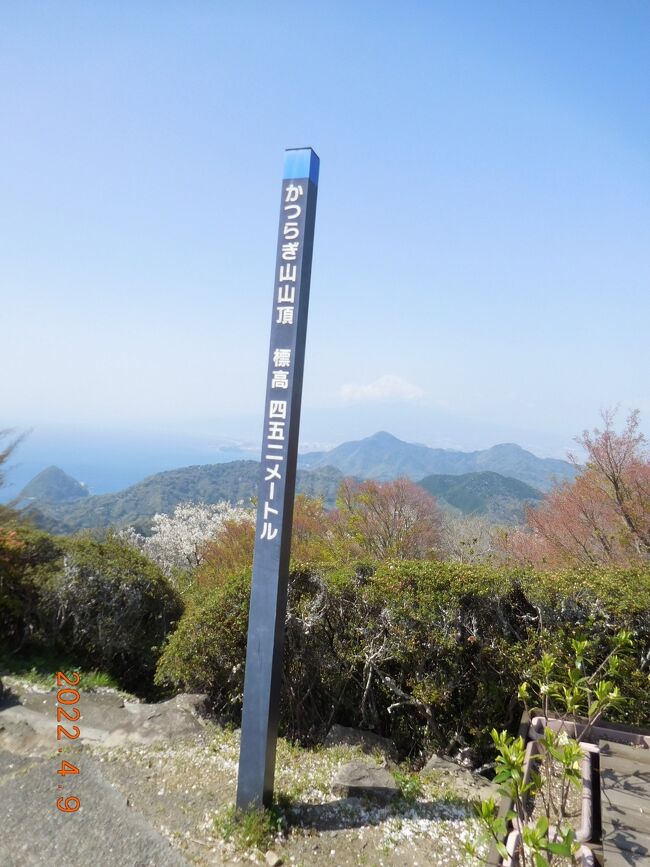 かつらぎ山頂に到着
