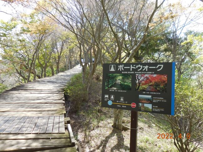 木道が整備されていました