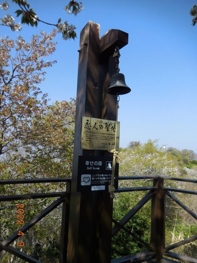 お決まりの、、、