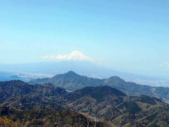 大好きな富士山が！