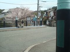 本覚寺の目の前にある夷堂橋です。親子が桜を見ています。