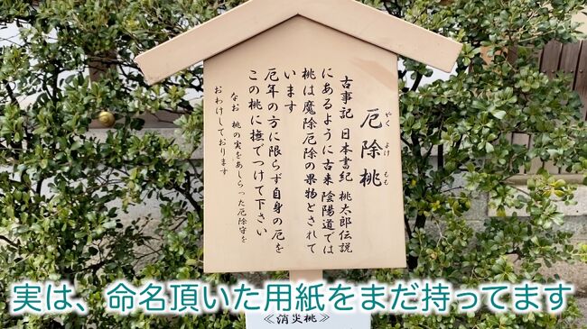 またも会社をサボって、まさやん！と命名頂いた晴明神社を初訪問！＆ランチはピネライスを堪能した休日』二条・烏丸・河原町(京都)の旅行記・ブログ by  まさやんさん【フォートラベル】