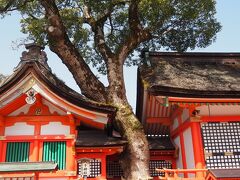 拝殿の角には八子神社があります。
拝殿と同化しており見落としそうですね。