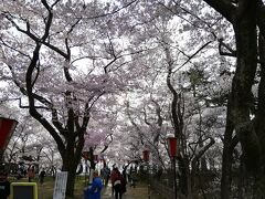 お腹も満たして入ります。
桜祭りという事で平日にも関わらずかなりの人です。
前日は日曜だったのでもっと居たのだと思います。